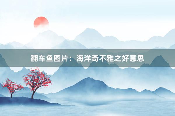 翻车鱼图片：海洋奇不雅之好意思